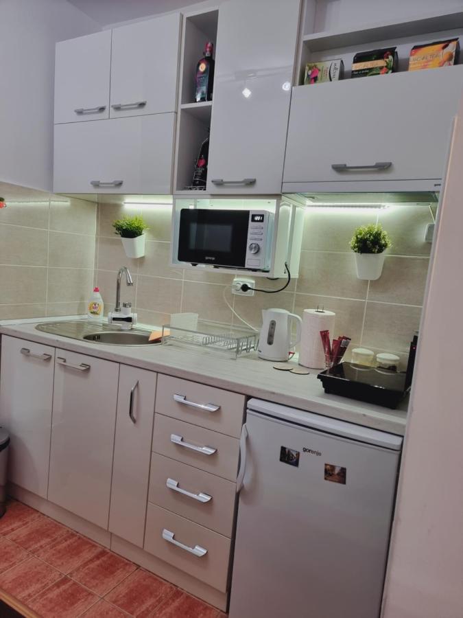 Apartman Temida Lux Vrnjacka Banja Exterior photo